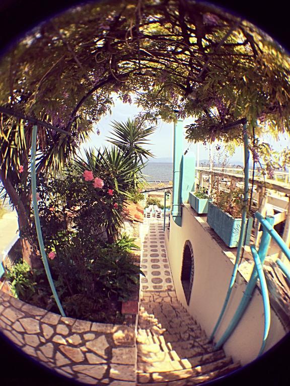 Benitsa Beach Hotel Achílleion Eksteriør billede